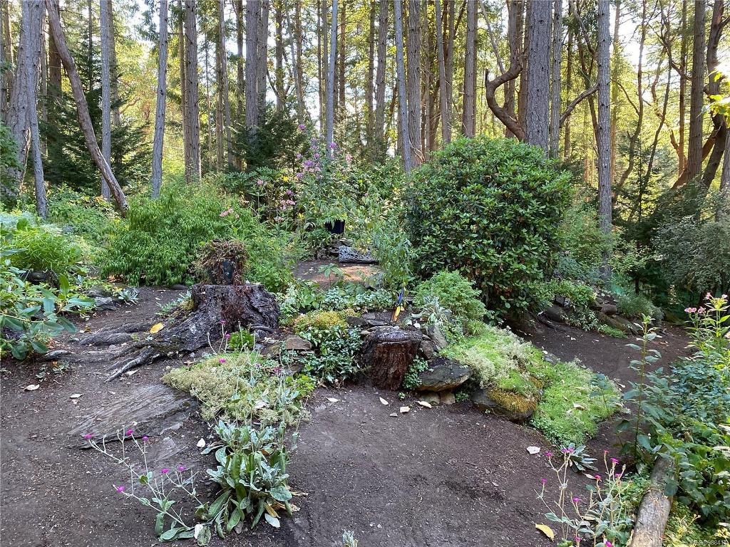 









211


Halibut

Hill,
Mudge Island,




BC
V0R 1X6

