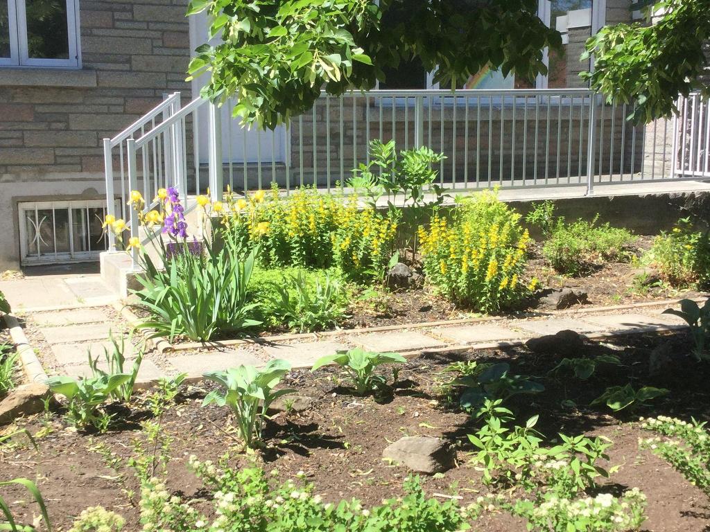 









10350


Av. Bruchési

,
Montréal (Ahuntsic-Cartierville),




QC
H2B2S5

