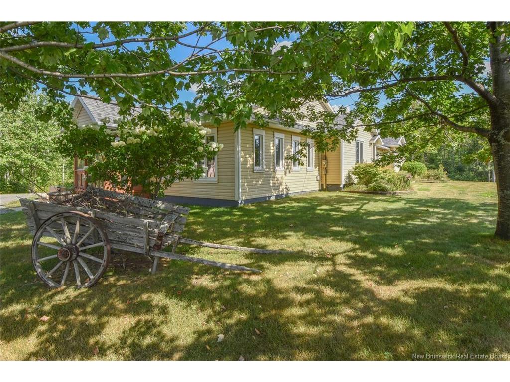 









84


rue du Pont

ST,
Bertrand,




NB
E1W 1J2

