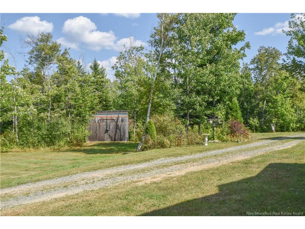 









84


rue du Pont

ST,
Bertrand,




NB
E1W 1J2

