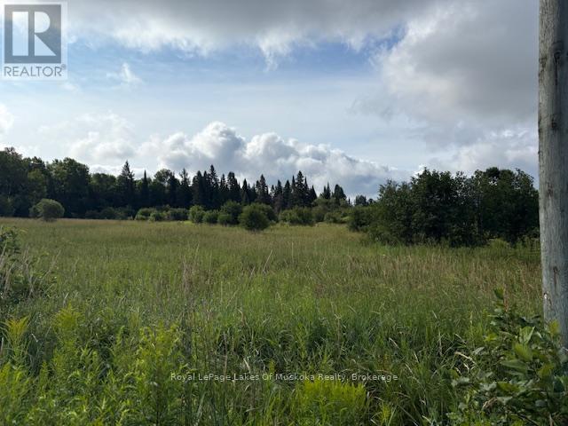 












0 OLD MUSKOKA TO THE EAST SIDE OF #1105 ROAD

,
Huntsville (Stephenson),







Ontario
P0B1M0

