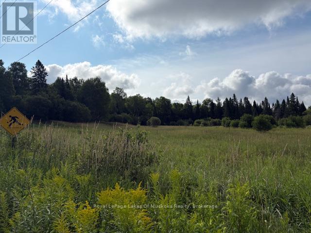 












0 OLD MUSKOKA TO THE EAST SIDE OF #1105 ROAD

,
Huntsville (Stephenson),







Ontario
P0B1M0

