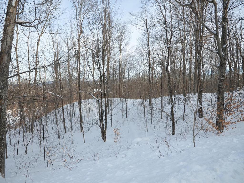 












Ch. des Franciscains

,
Mont-Tremblant,







QC
J8E3M6

