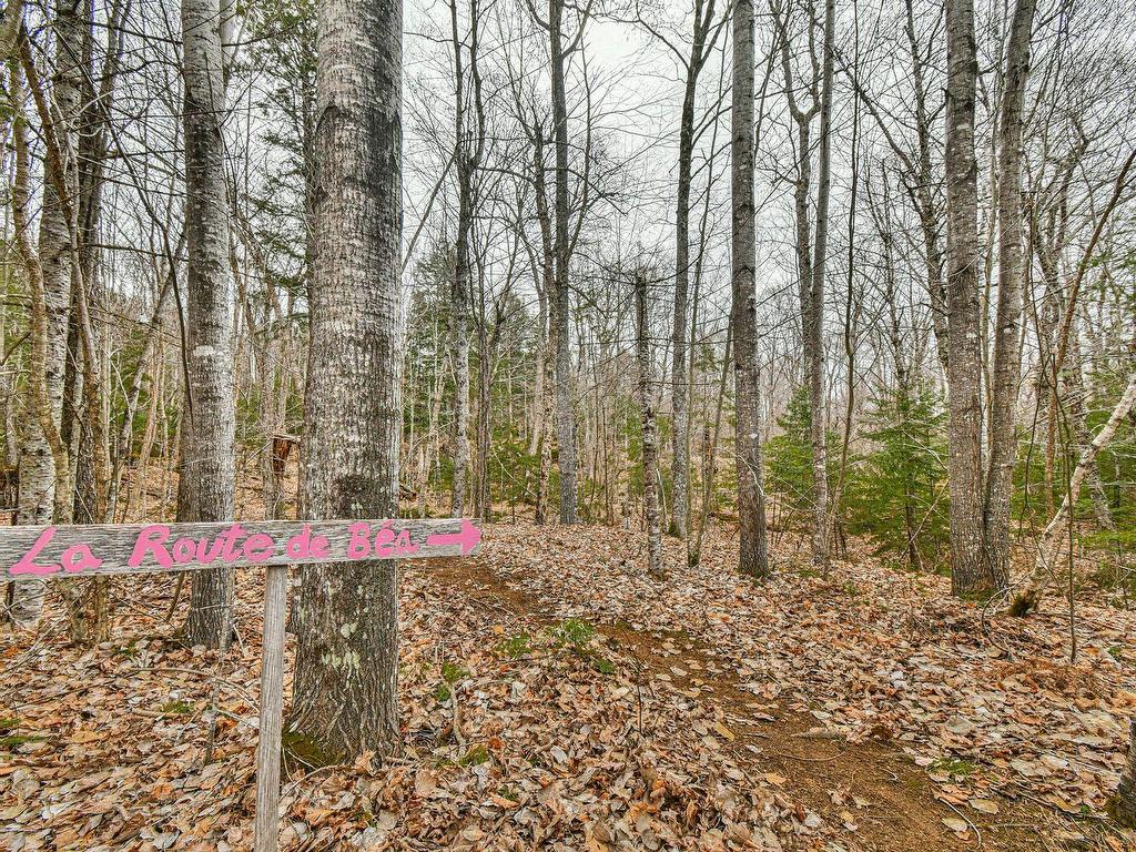 









8368


Rive du Lac-Tremblant

,
Lac-Tremblant-Nord,




QC
J8E1B3

