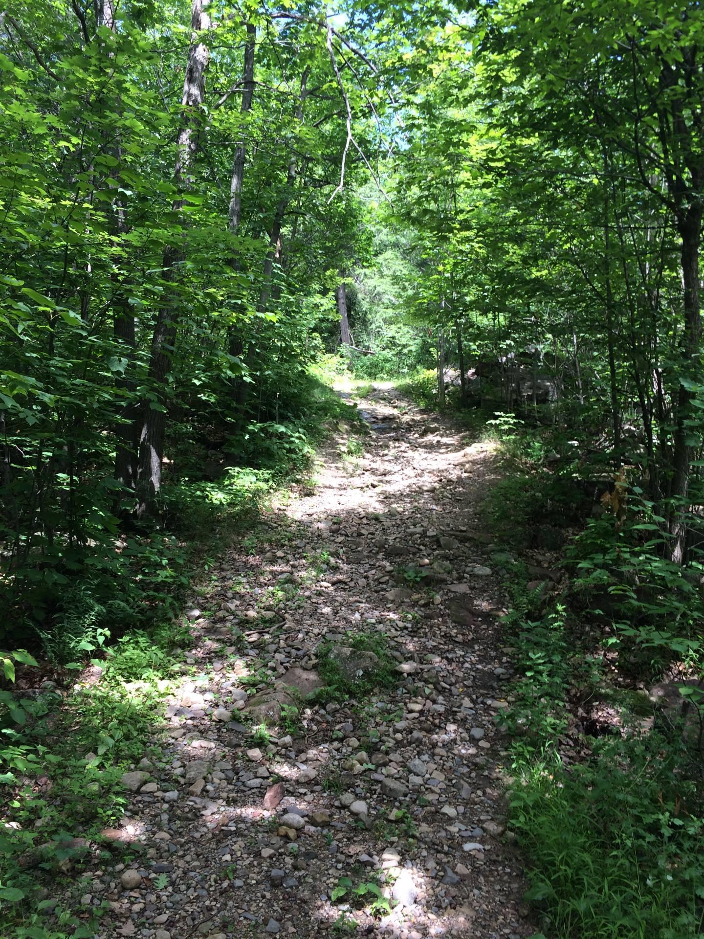 









168


Ch. St-Georges

,
Rigaud,







QC
J0P1J0

