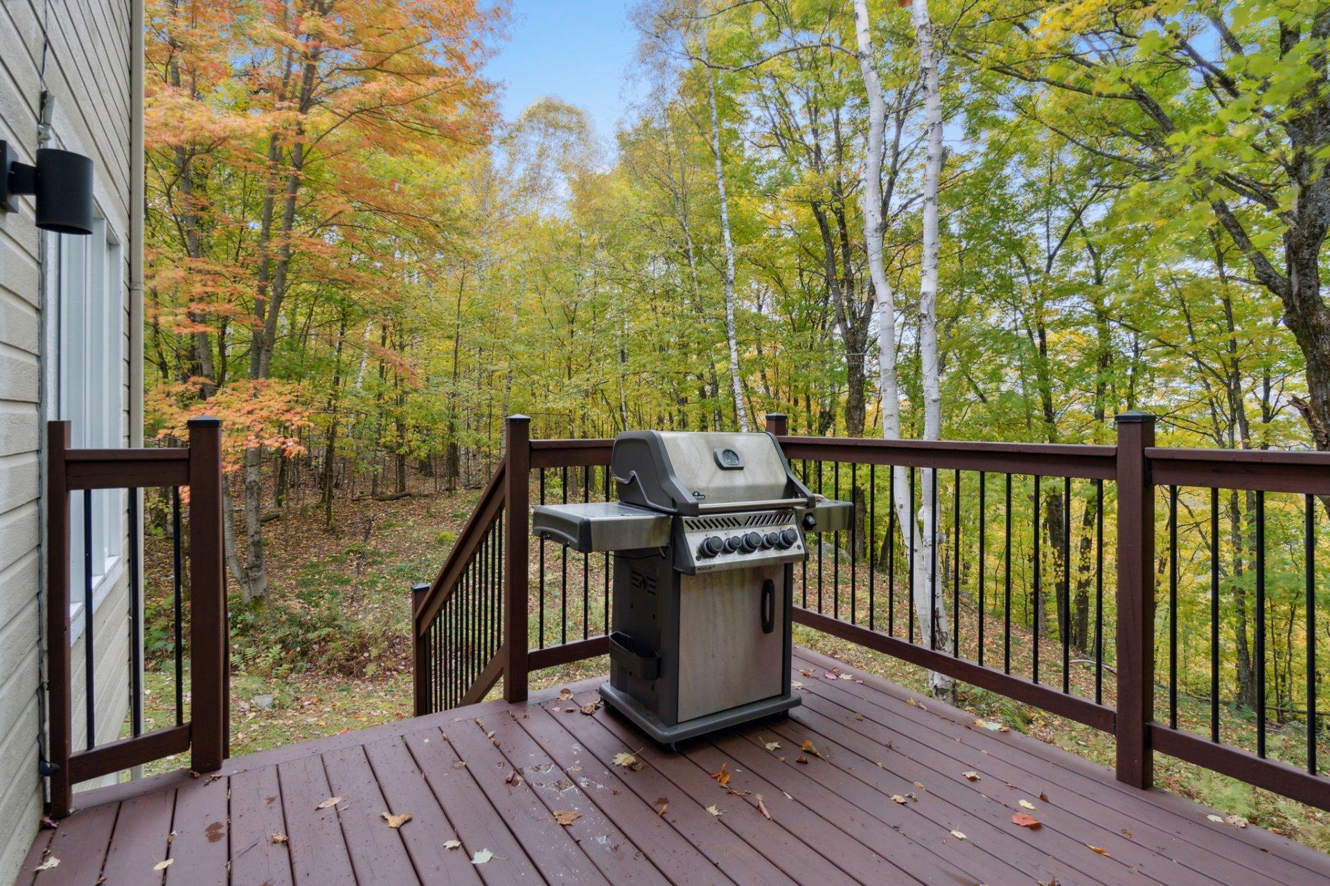 









1303


Rue Trudel

,
Mont-Tremblant,




QC
J8E2L4

