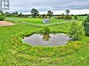 Pond