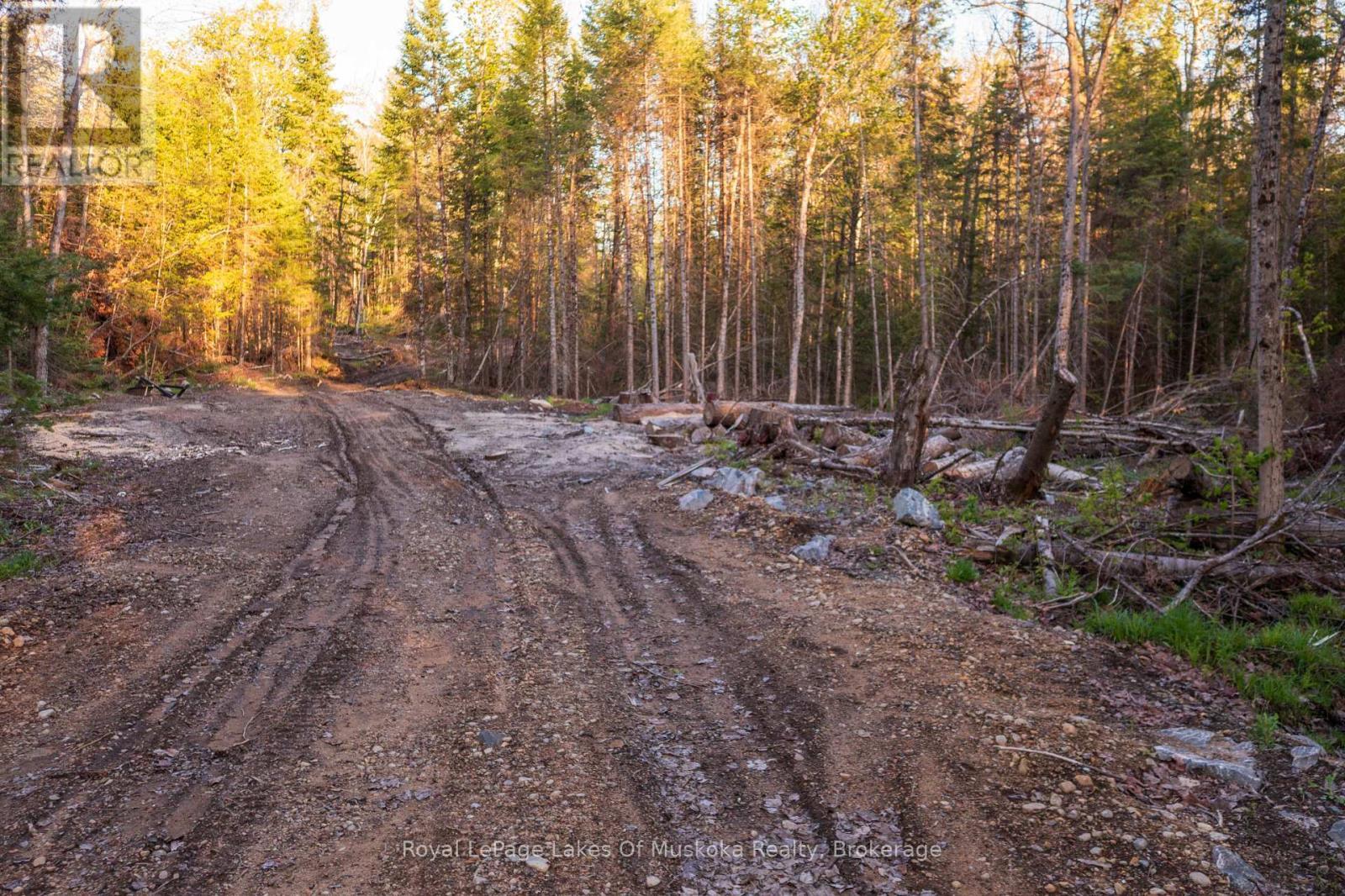 












203 CON 4 & 5 ROAD W

,
Huntsville (Brunel),




Ontario
P1H2A9

