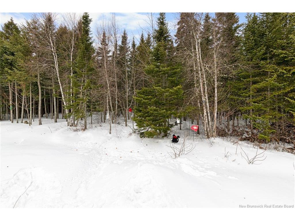 









222


Damien

,
Dieppe,




NB
E1A 0H3

