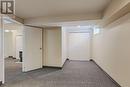 walk out basement suite