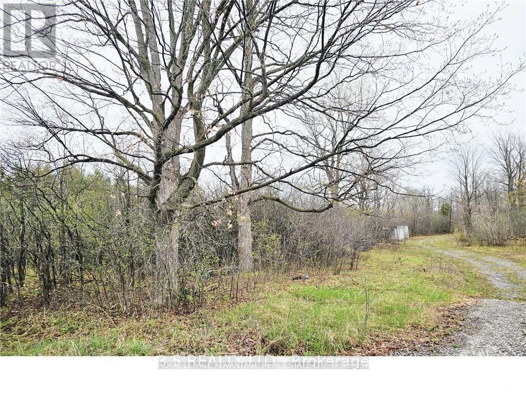 












14391 COUNTY  15 ROAD

,
Merrickville-Wolford,







Ontario
K0G1N0

