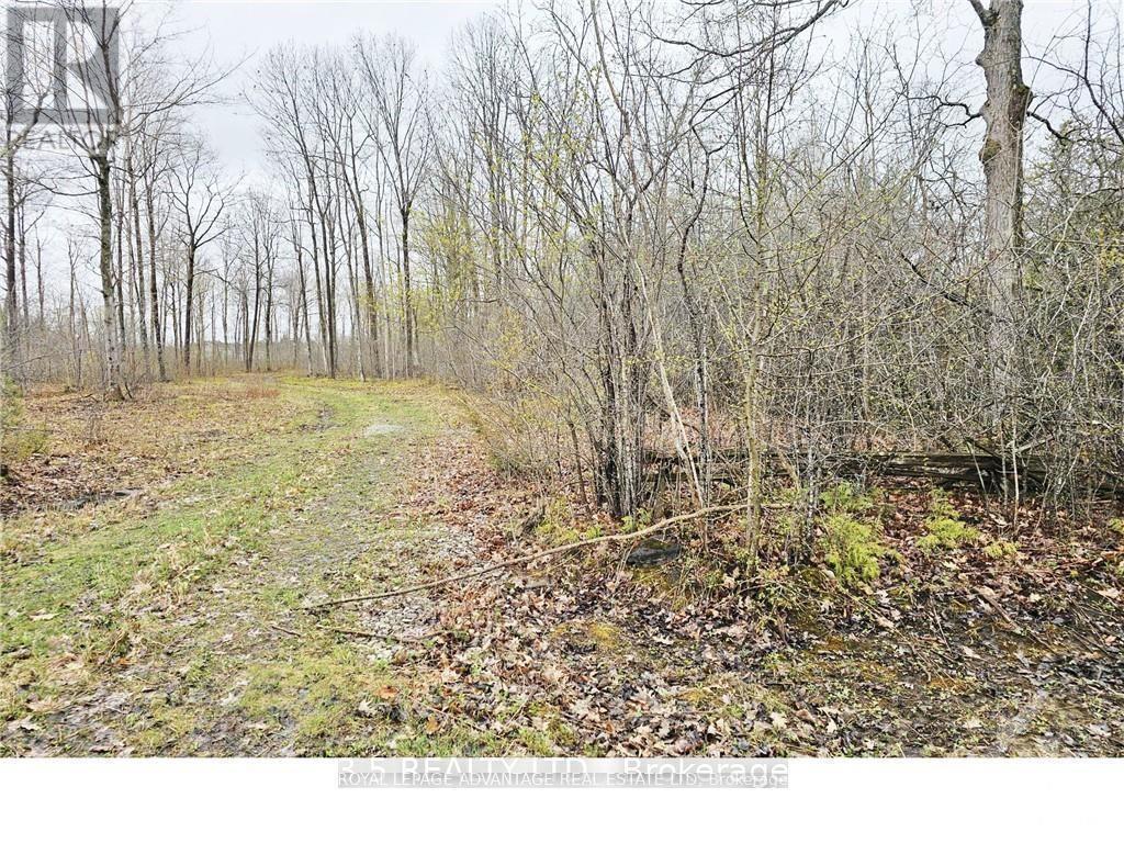 












14391 COUNTY  15 ROAD

,
Merrickville-Wolford,







Ontario
K0G1N0

