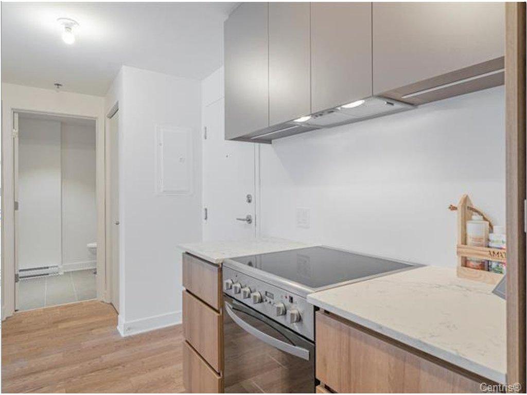 









170


Rue Rioux

, 906,
Montréal (Le Sud-Ouest),




QC
H3C2A5


