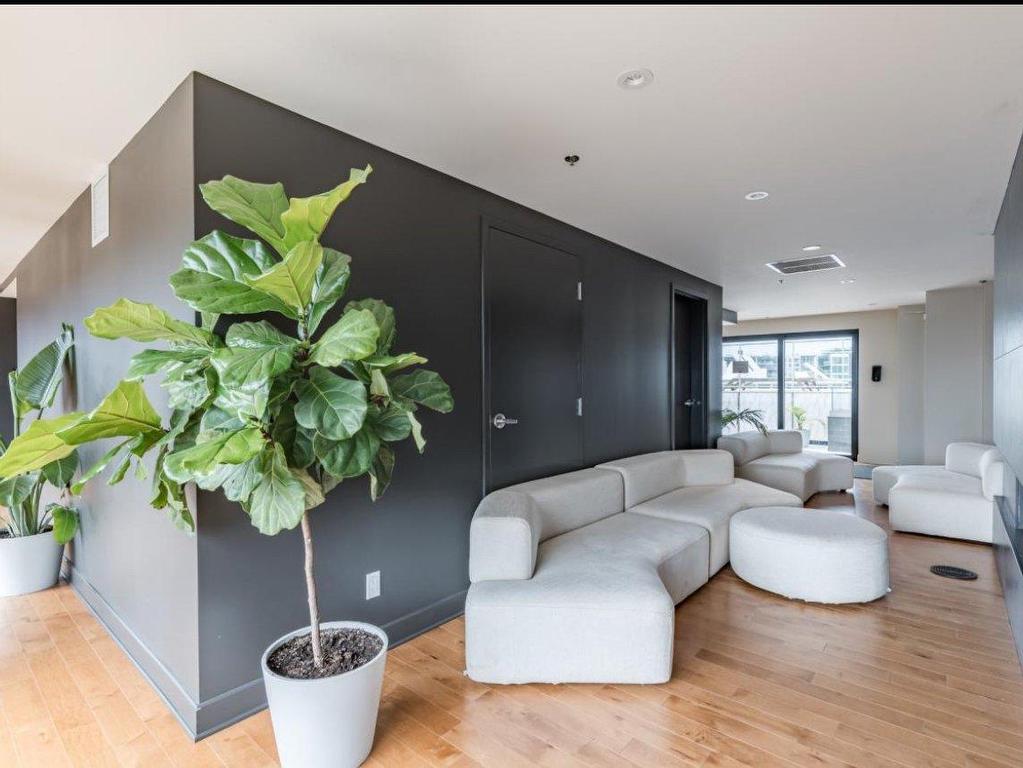 









170


Rue Rioux

, 906,
Montréal (Le Sud-Ouest),




QC
H3C2A5

