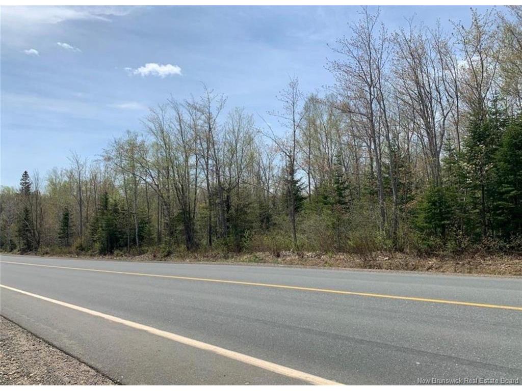 









Lot 02


Principale

,
Petit-Paquetville,







NB
E8R 1G4


