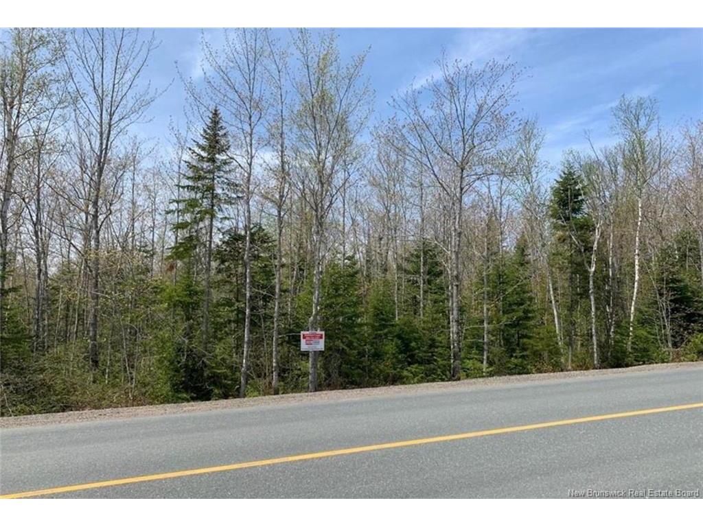 









Lot 02


Principale

,
Petit-Paquetville,







NB
E8R 1G4


