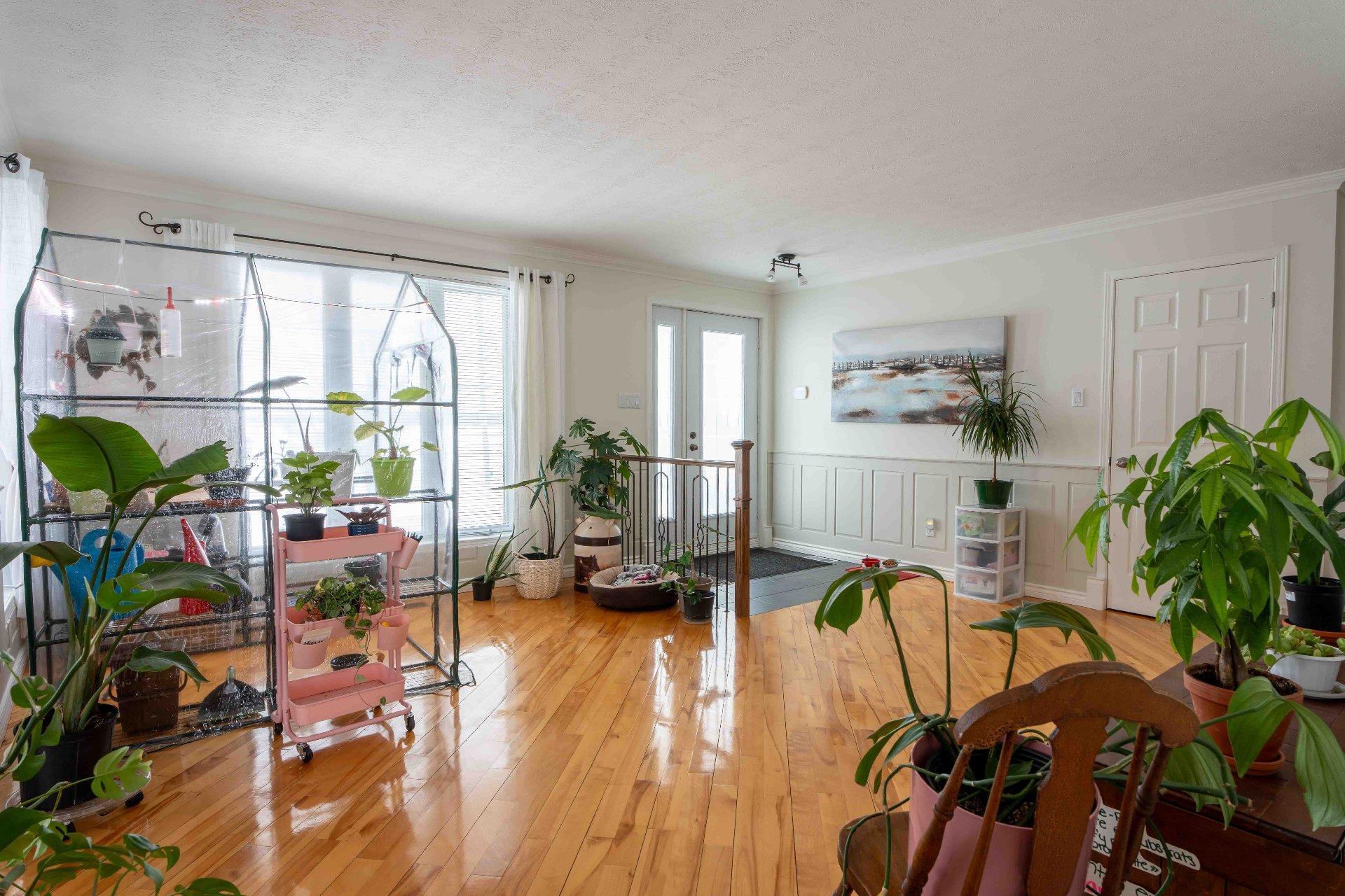 









790


Boul. Lemire O.

,
Drummondville,







QC
J2B8A9


