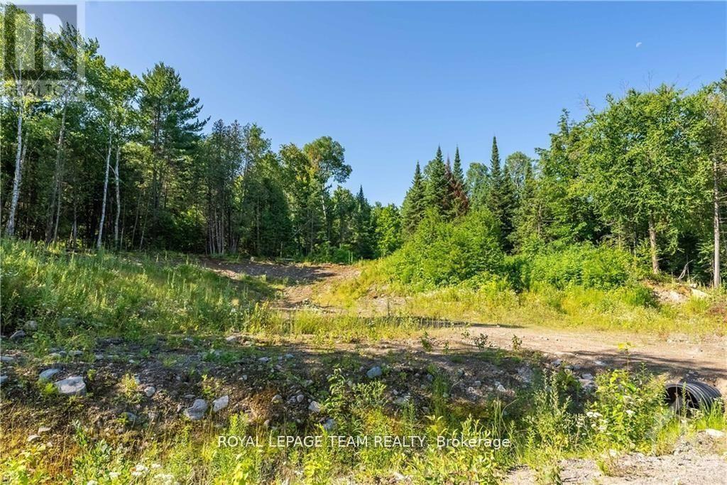 












LOT 17 BARK BAY TRAIL

,
Madawaska Valley,







Ontario
K0J1B0

