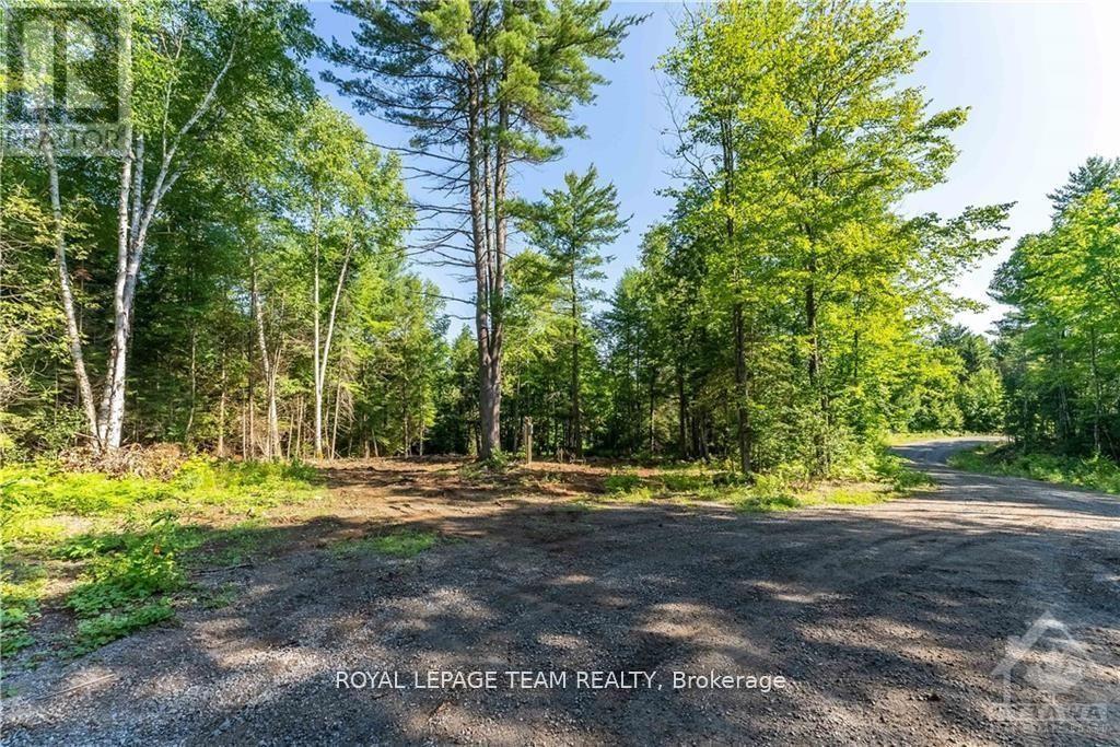 












LOT 17 BARK BAY TRAIL

,
Madawaska Valley,







Ontario
K0J1B0

