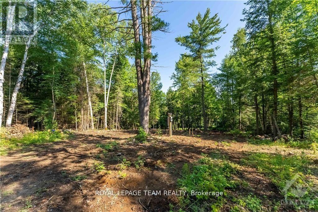 












LOT 17 BARK BAY TRAIL

,
Madawaska Valley,







Ontario
K0J1B0

