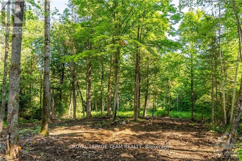 












LOT 17 BARK BAY TRAIL

,
Madawaska Valley,







Ontario
K0J1B0

