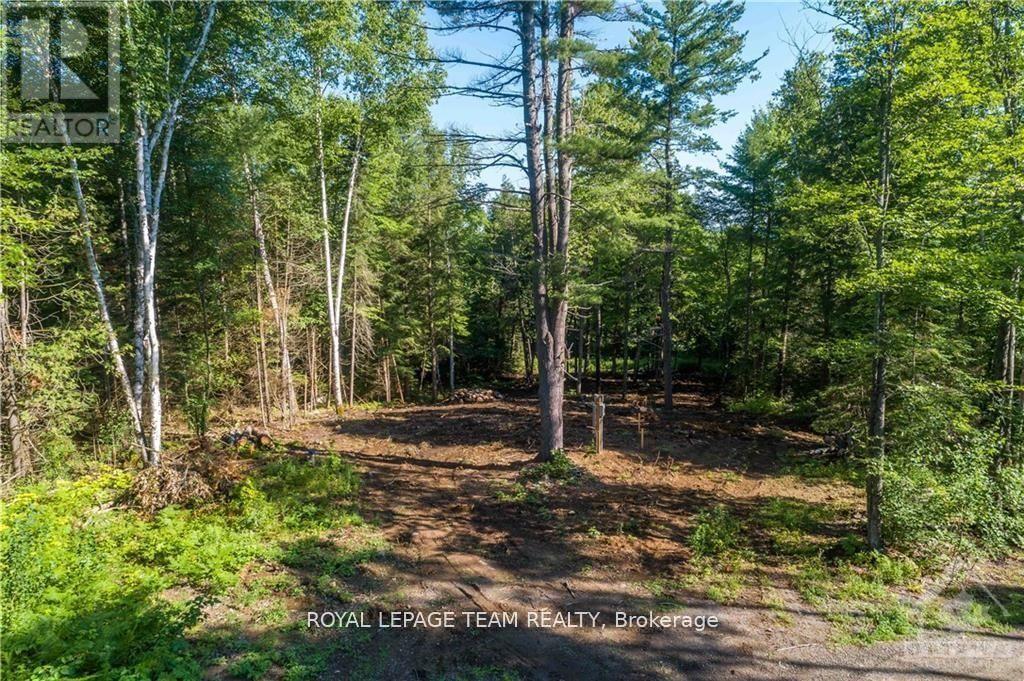 












LOT 17 BARK BAY TRAIL

,
Madawaska Valley,







Ontario
K0J1B0

