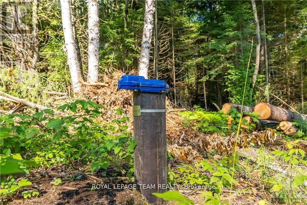 












LOT 17 BARK BAY TRAIL

,
Madawaska Valley,







Ontario
K0J1B0

