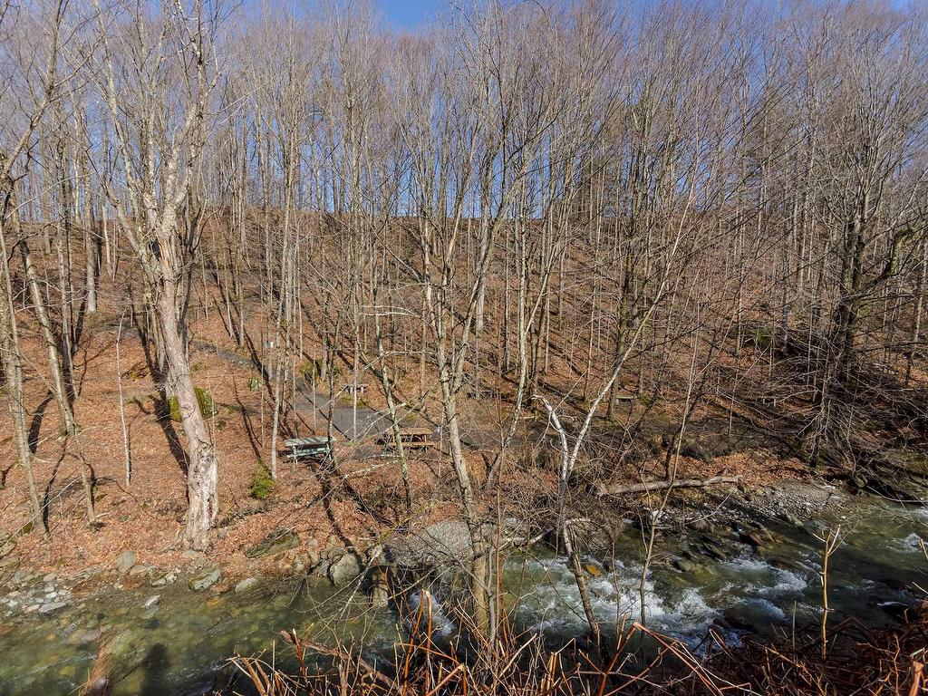 









29


Rue Maple

, 106,
Sutton,




QC
J0E2K0

