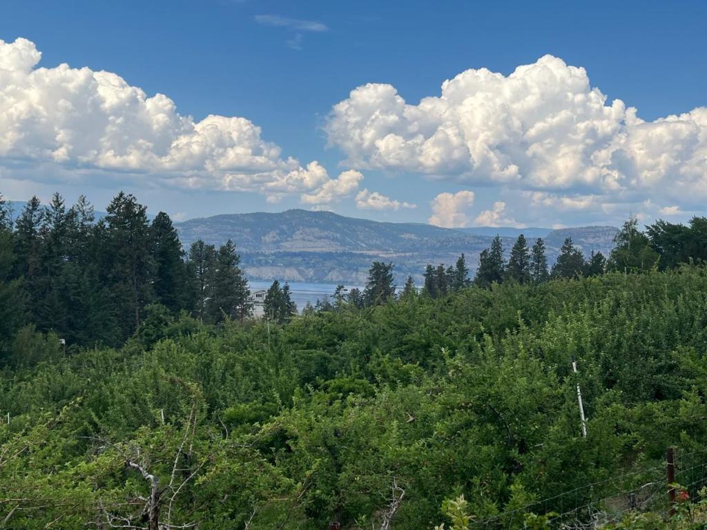 









4855


North Naramata

Road,
Naramata,







BC
V0H 1N1

