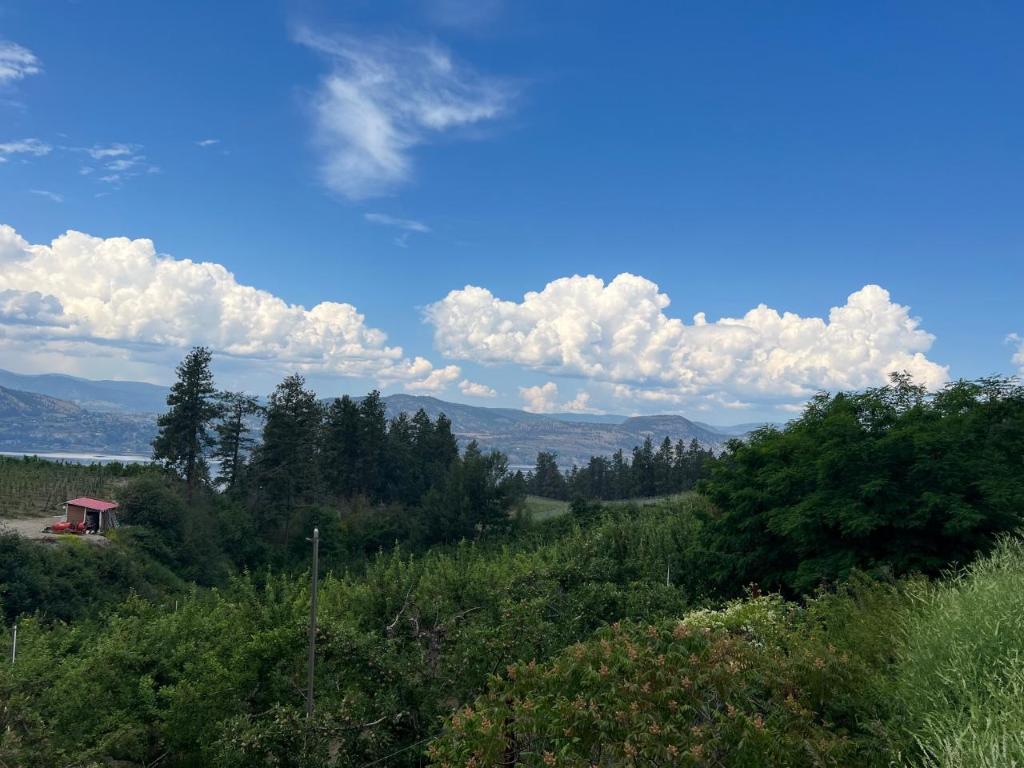 









4855


North Naramata

Road,
Naramata,







BC
V0H 1N1

