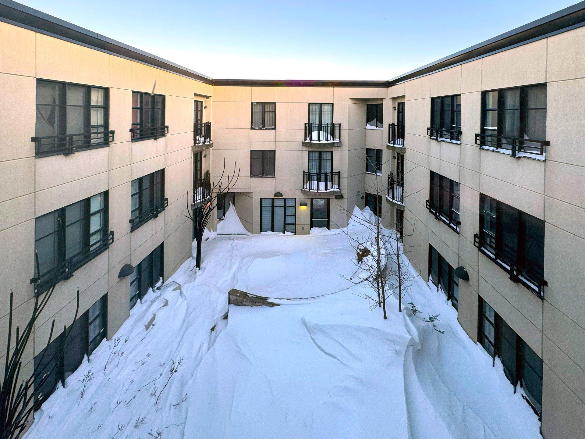 









3990


Rue Jarry E.

, 317,
Montréal (Villeray/Saint-Michel/Parc-Extension),




QC
H1Z0A5

