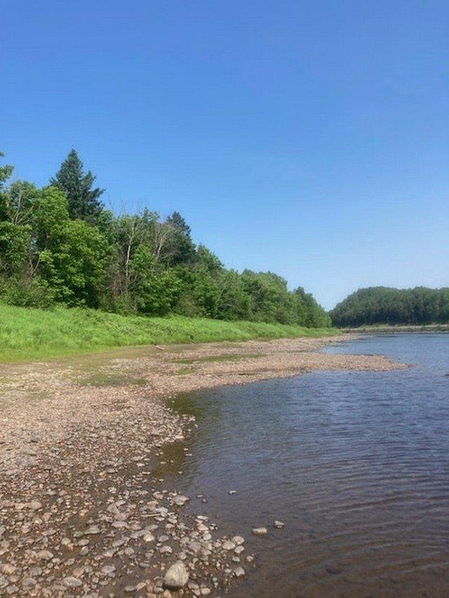 









3


Ch. Doucet

,
Trois-Rives,







QC
G0X2C0

