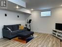Lower level family room
