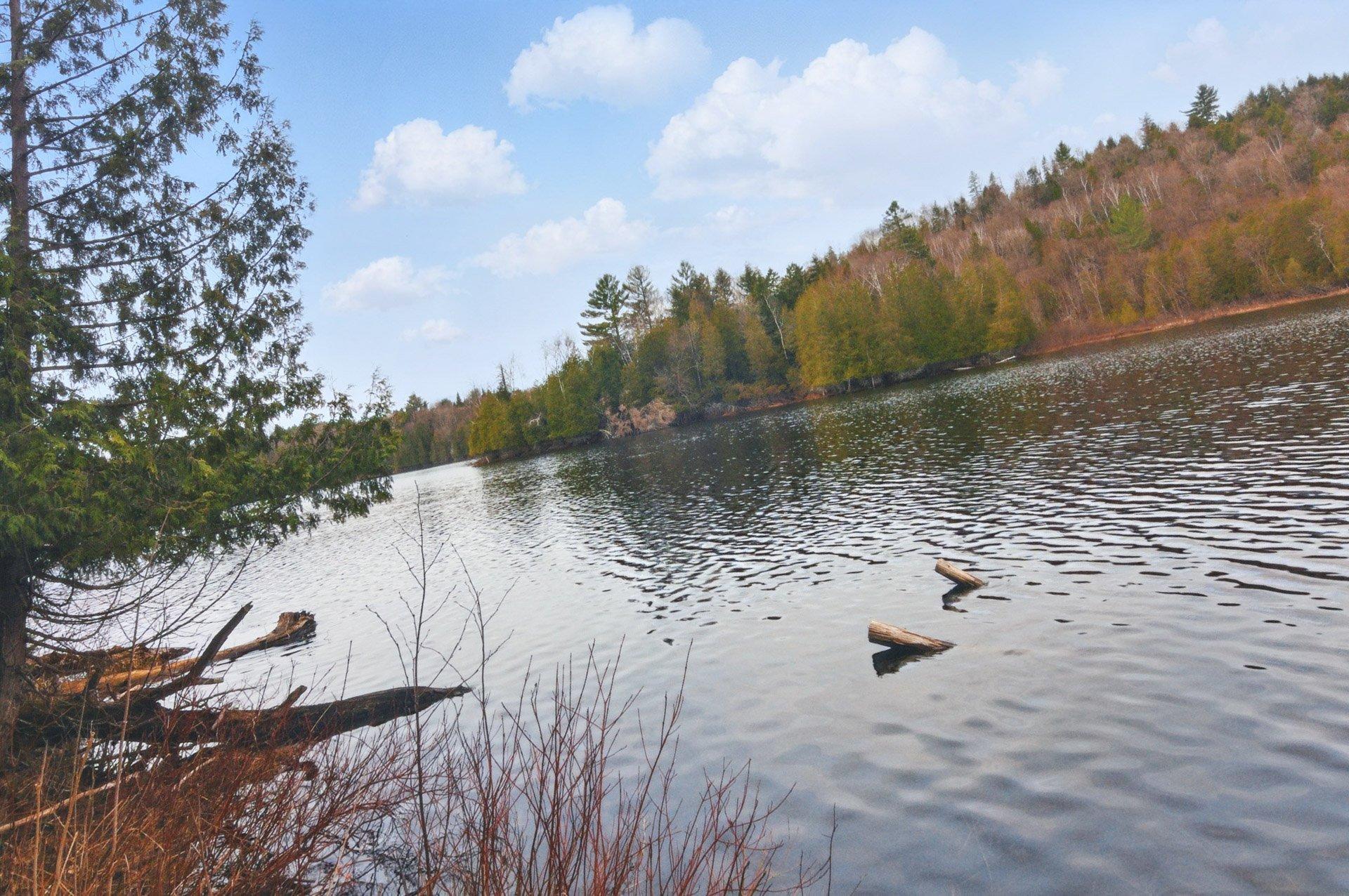 









337


Route des Cantons

,
Saint-Émile-de-Suffolk,




QC
J0V1Y0

