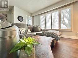 cozy living room with California shutter blinds