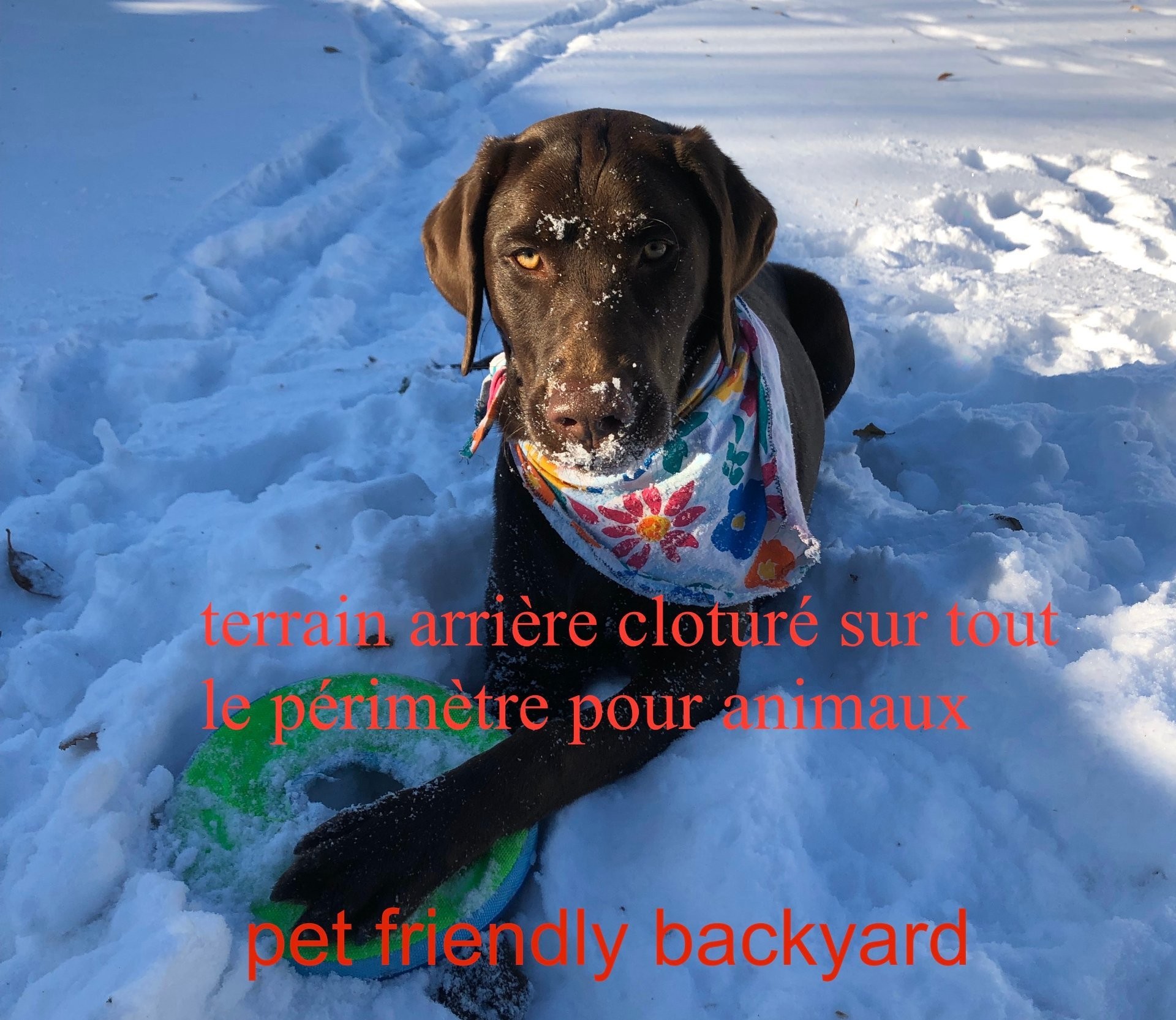 









118


Rue du Lac

,
Notre-Dame-du-Nord,




QC
J0Z3B0

