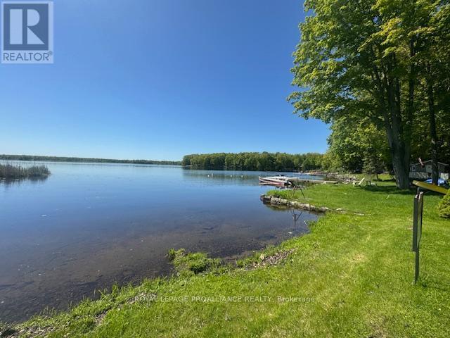 












1081 COOK ROAD

,
Marmora and Lake (Marmora Ward),




Ontario
K0K2M0

