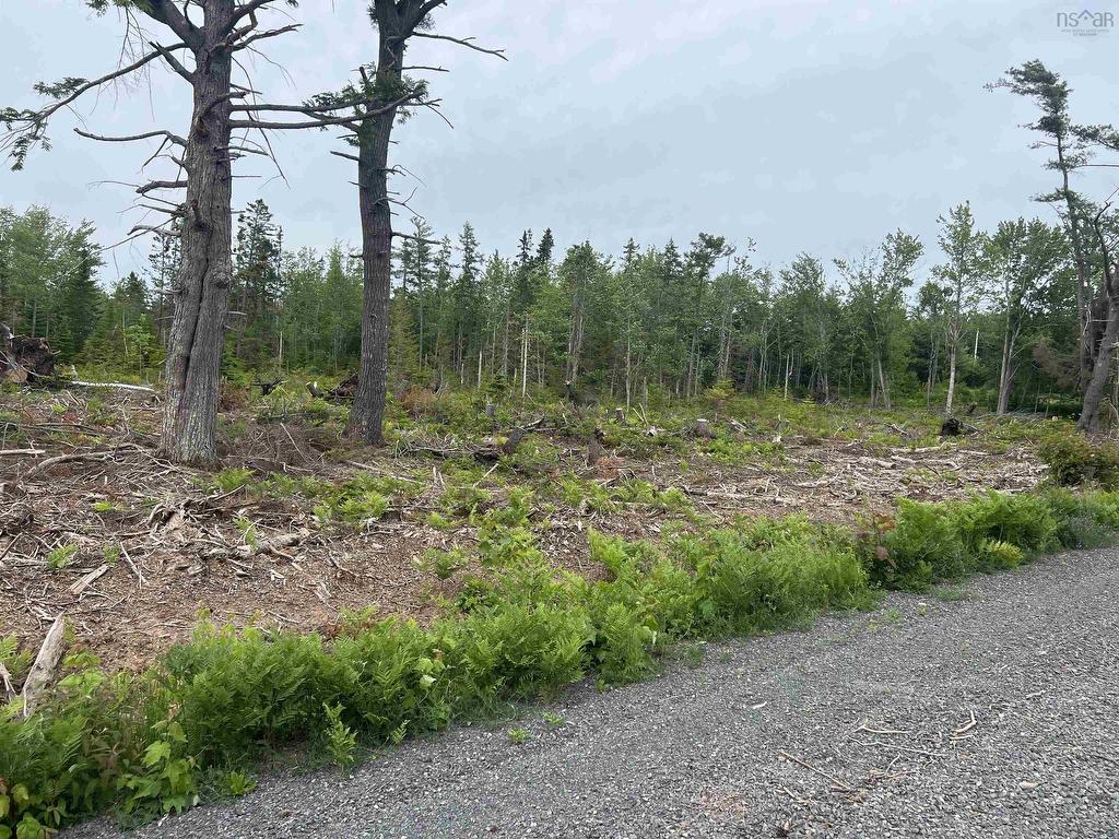 












2 Priests Road

,
Central Caribou,







NS
B0K 1H0

