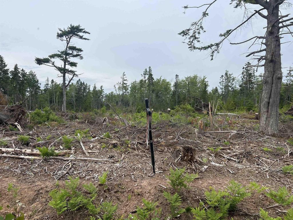 












2 Priests Road

,
Central Caribou,







NS
B0K 1H0

