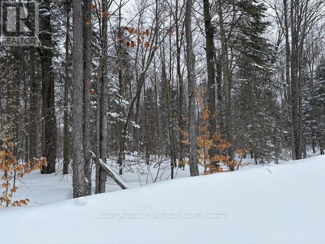 












1788 OLD MUSKOKA ROAD

,
Huntsville (Stephenson),







Ontario
P0B1M0

