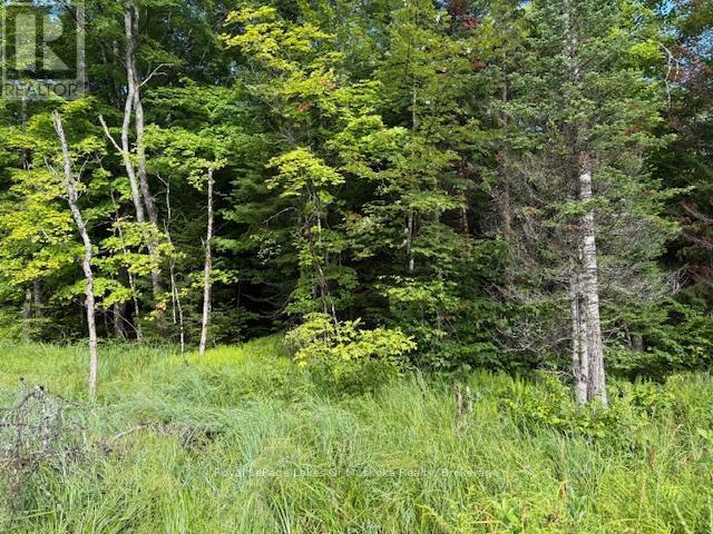 












1788 OLD MUSKOKA ROAD

,
Huntsville (Stephenson),







Ontario
P0B1M0

