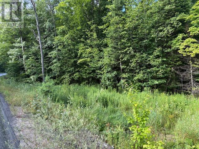 












1788 OLD MUSKOKA ROAD

,
Huntsville (Stephenson),







Ontario
P0B1M0

