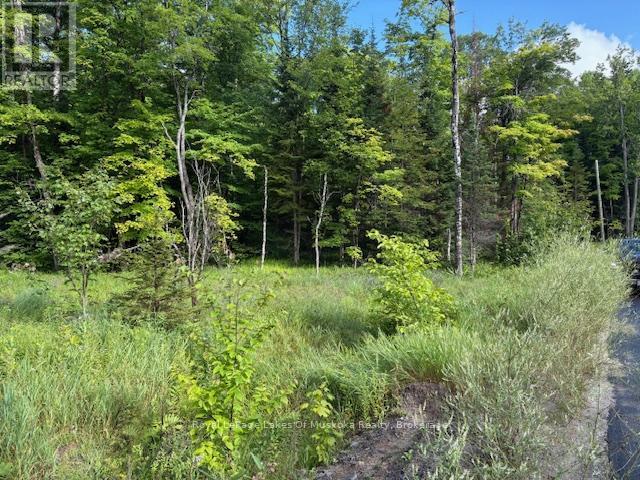 












1788 OLD MUSKOKA ROAD

,
Huntsville (Stephenson),







Ontario
P0B1M0

