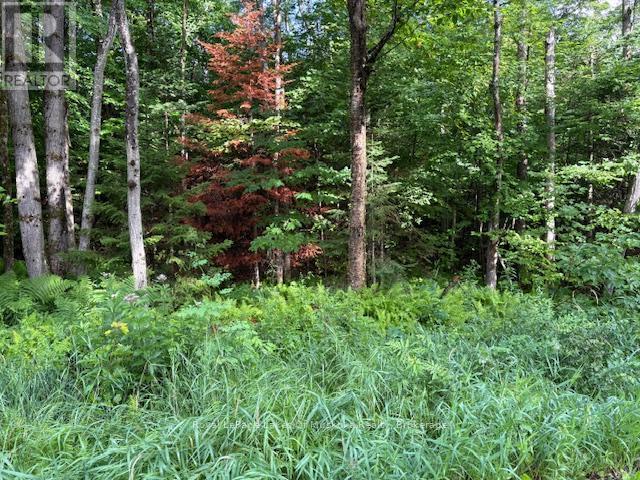 












1788 OLD MUSKOKA ROAD

,
Huntsville (Stephenson),







Ontario
P0B1M0

