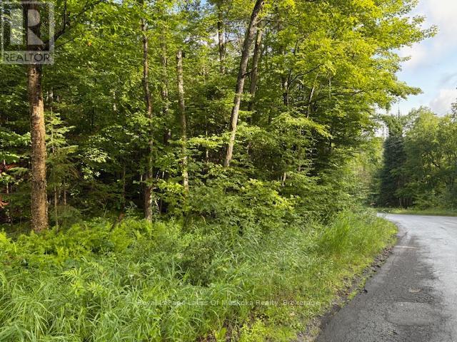 












1788 OLD MUSKOKA ROAD

,
Huntsville (Stephenson),







Ontario
P0B1M0

