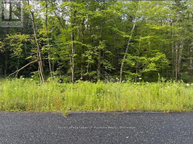 












47 SUMMER LEIGH TRAIL

,
Huntsville (Stephenson),







Ontario
P0B1M0

