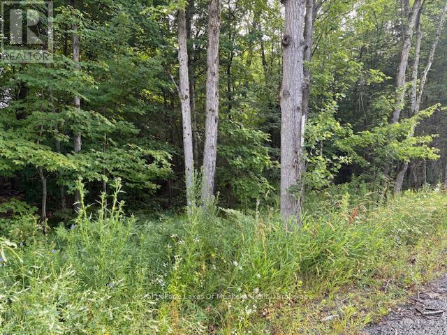 












47 SUMMER LEIGH TRAIL

,
Huntsville (Stephenson),







Ontario
P0B1M0

