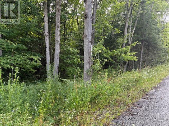 












47 SUMMER LEIGH TRAIL

,
Huntsville (Stephenson),







Ontario
P0B1M0

