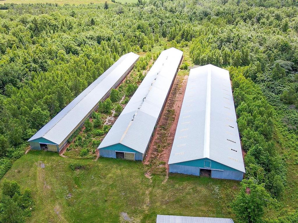 












9611 St. Peters Road

,
Canavoy,




PE
C0A 1T0

