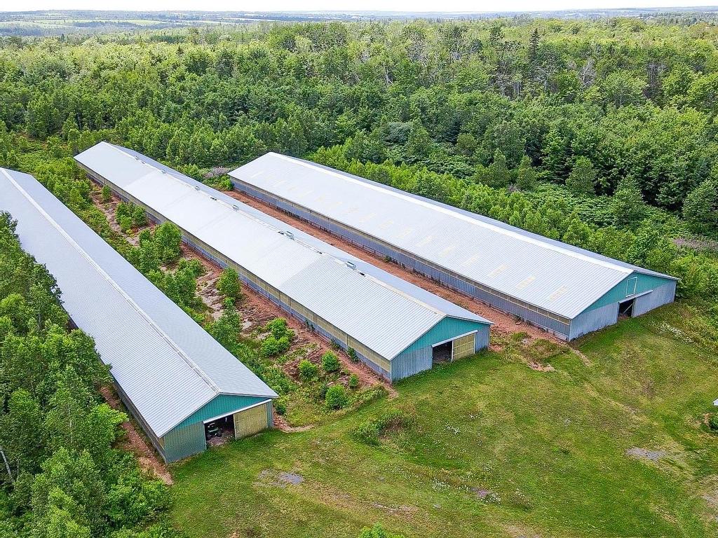 












9611 St. Peters Road

,
Canavoy,




PE
C0A 1T0

